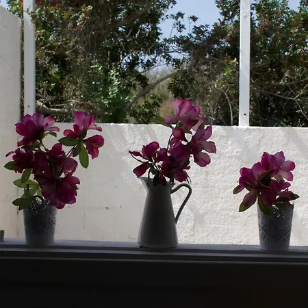 Porto Ulisse Semesterbostad